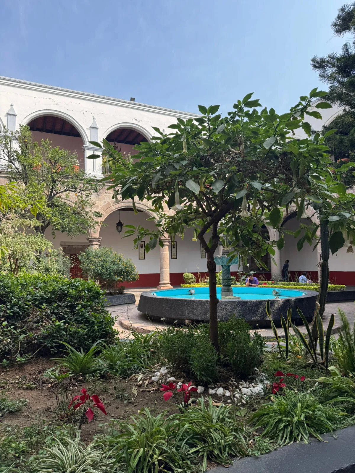 Colonial Courtyard in Coyoacán